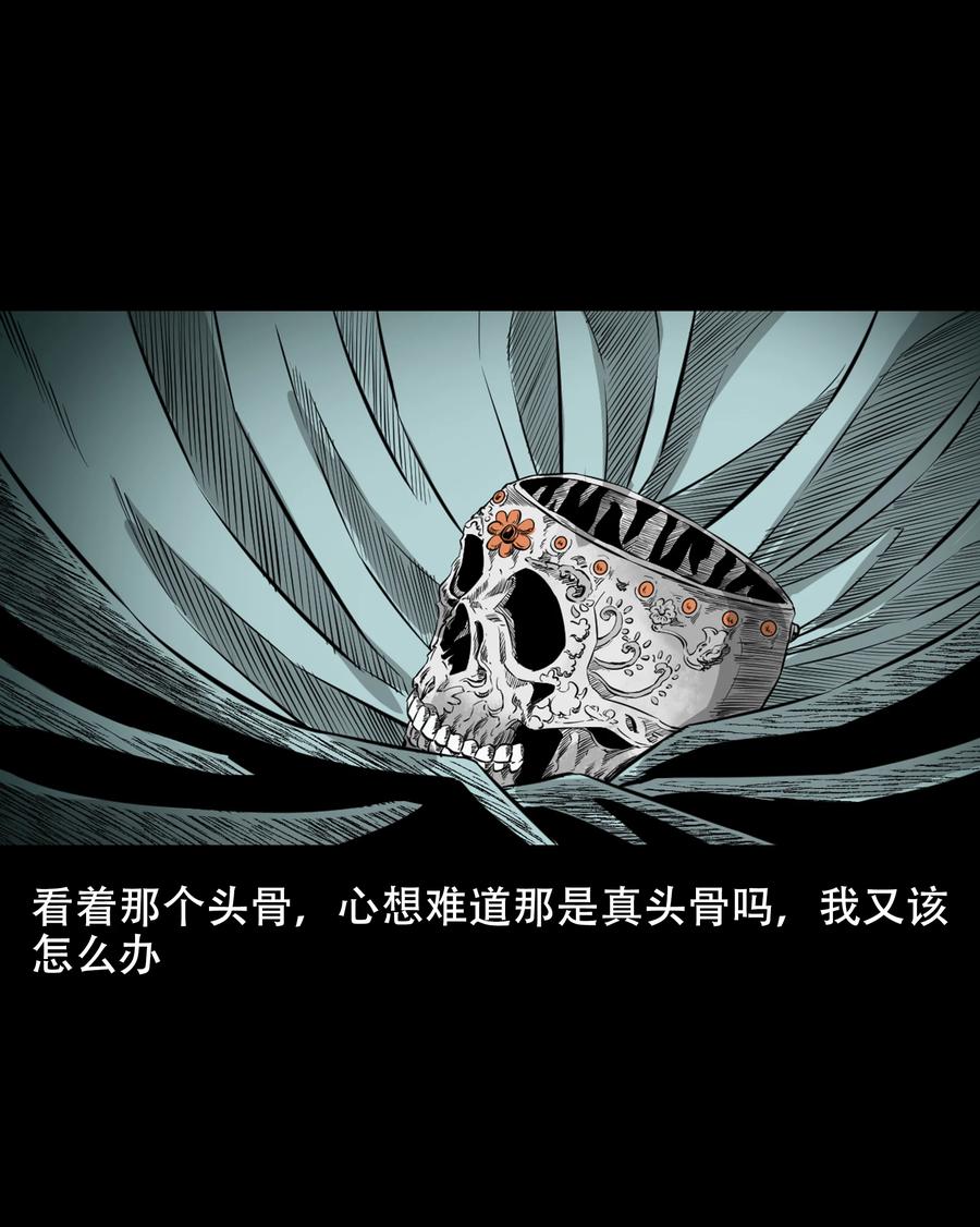 560 人骨艺术品59