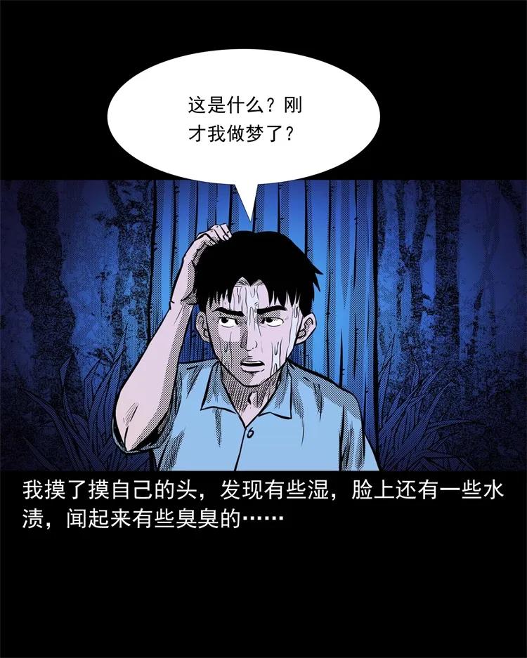 262 鬼剃头45