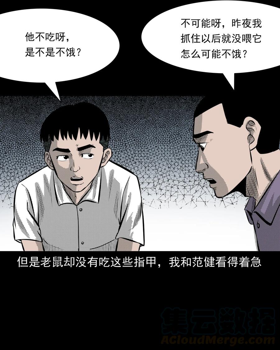282 老鼠成仙48