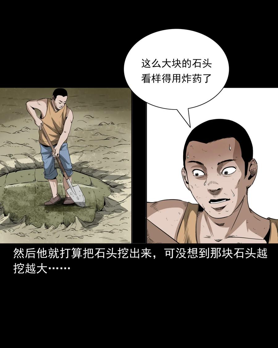 493 大王八4