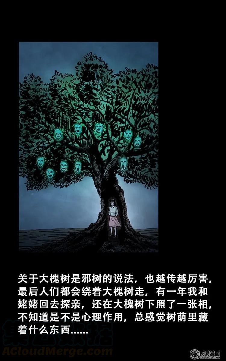 104 邪树39