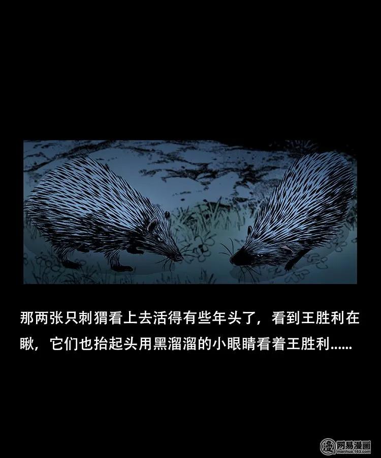 92 邪太岁14
