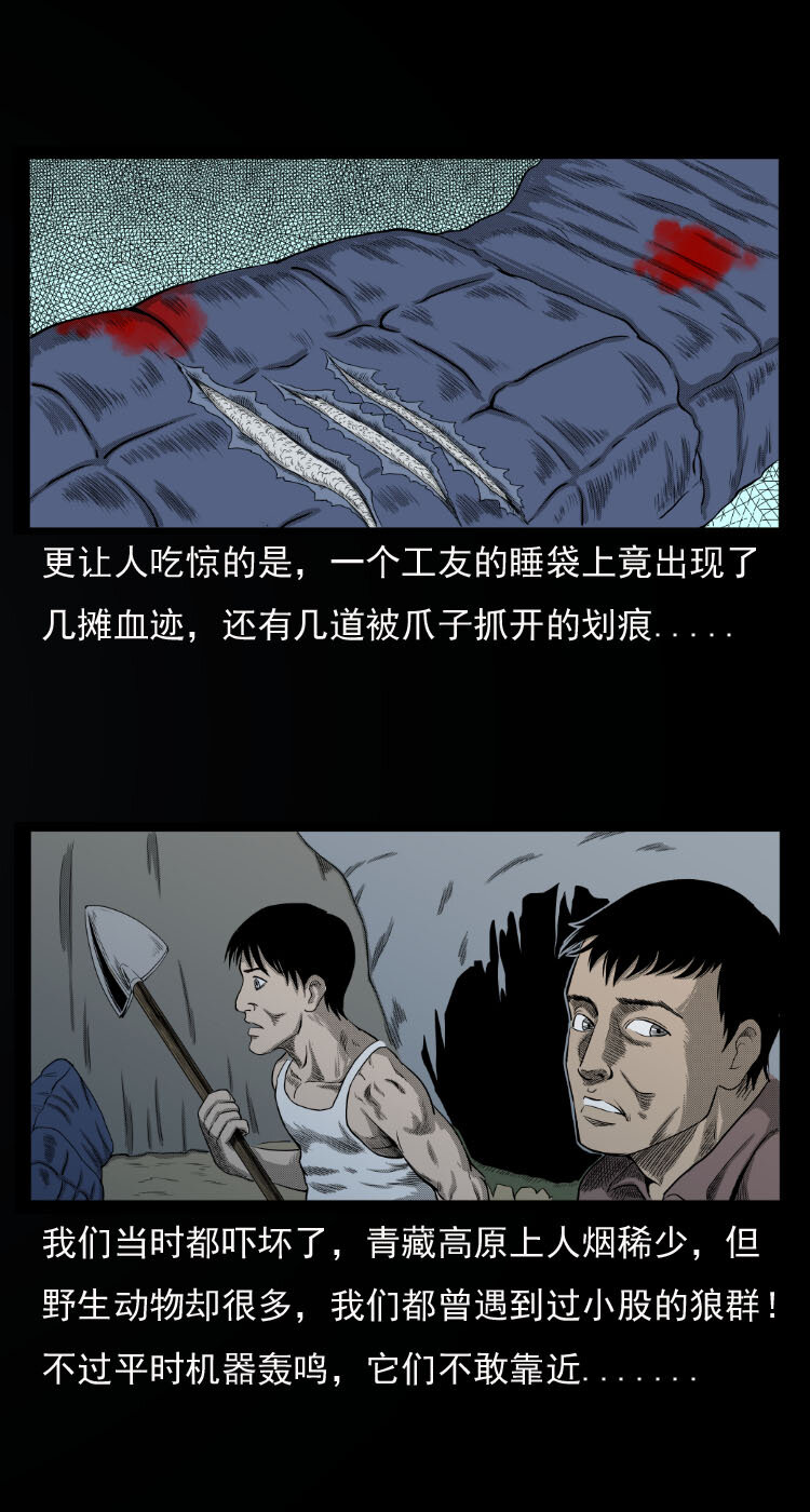 10 青藏铁路怪物事件7