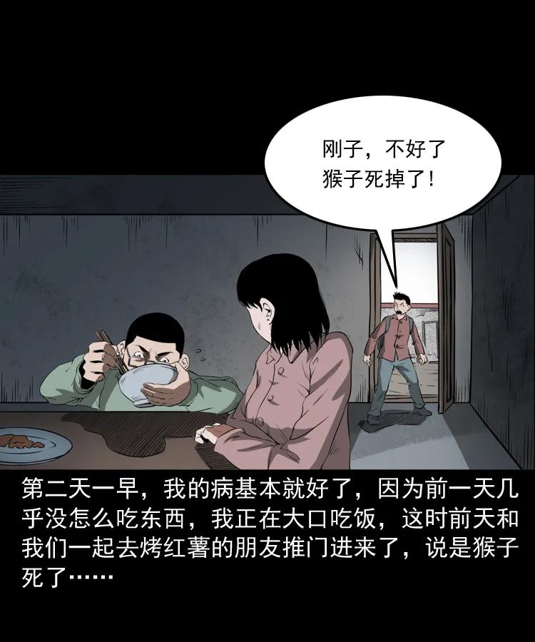 341 本命年撞煞86