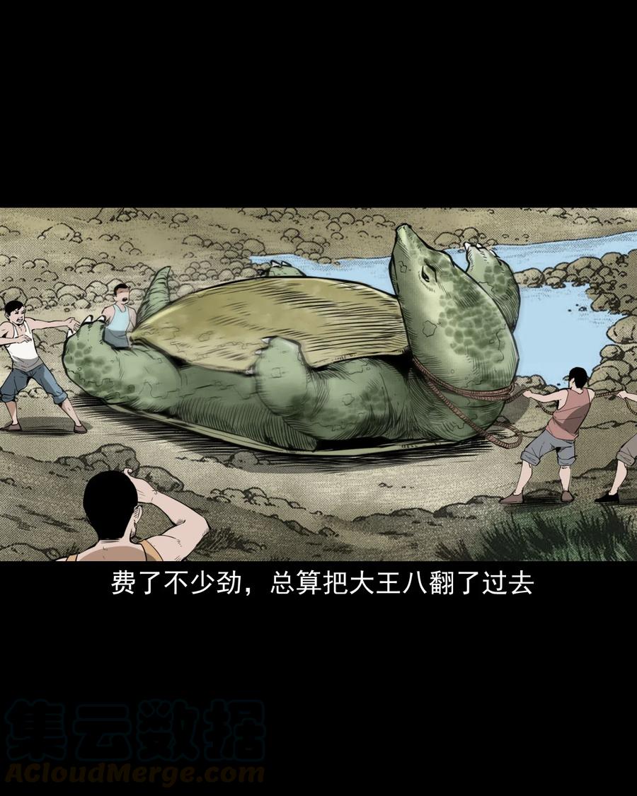 493 大王八21