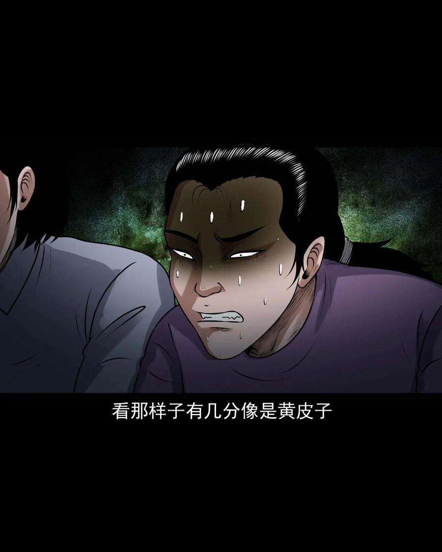 427 老烟鬼5258