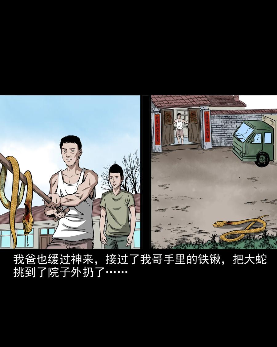 291 蛇祸14