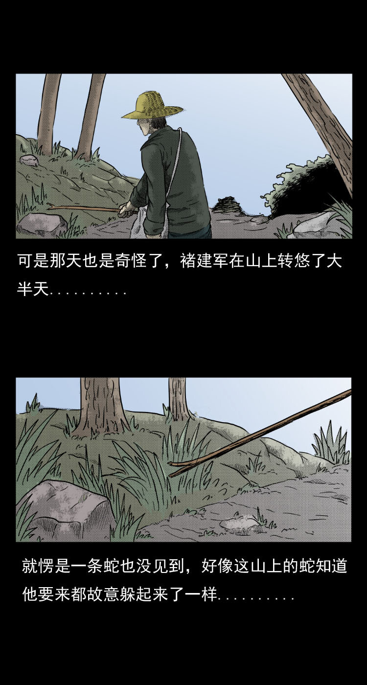 5 活蛇酒5