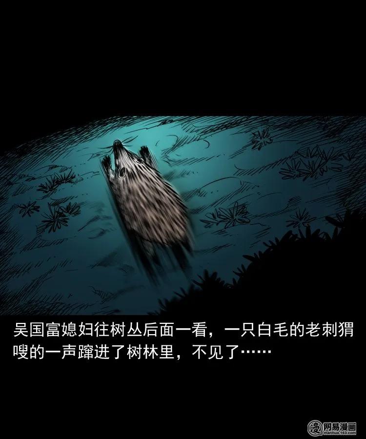 168 刺猬51