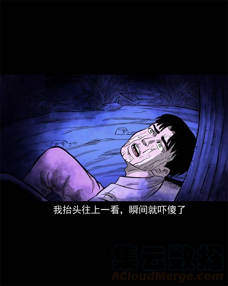 262 鬼剃头48