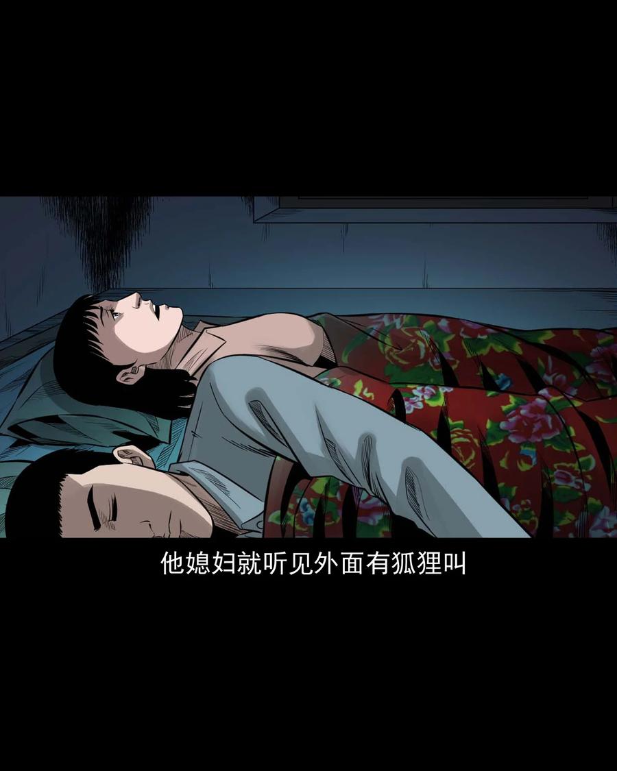 545 狐狸围脖37