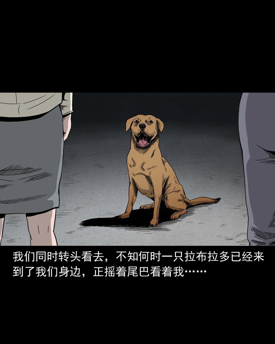 412 找狗人14