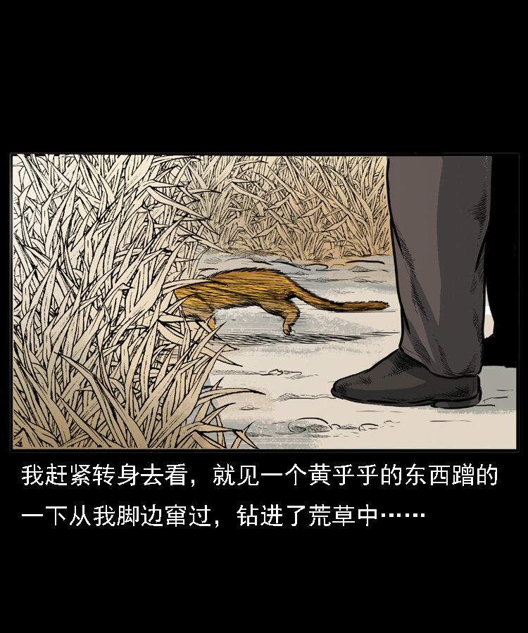 22 黄皮子报恩48