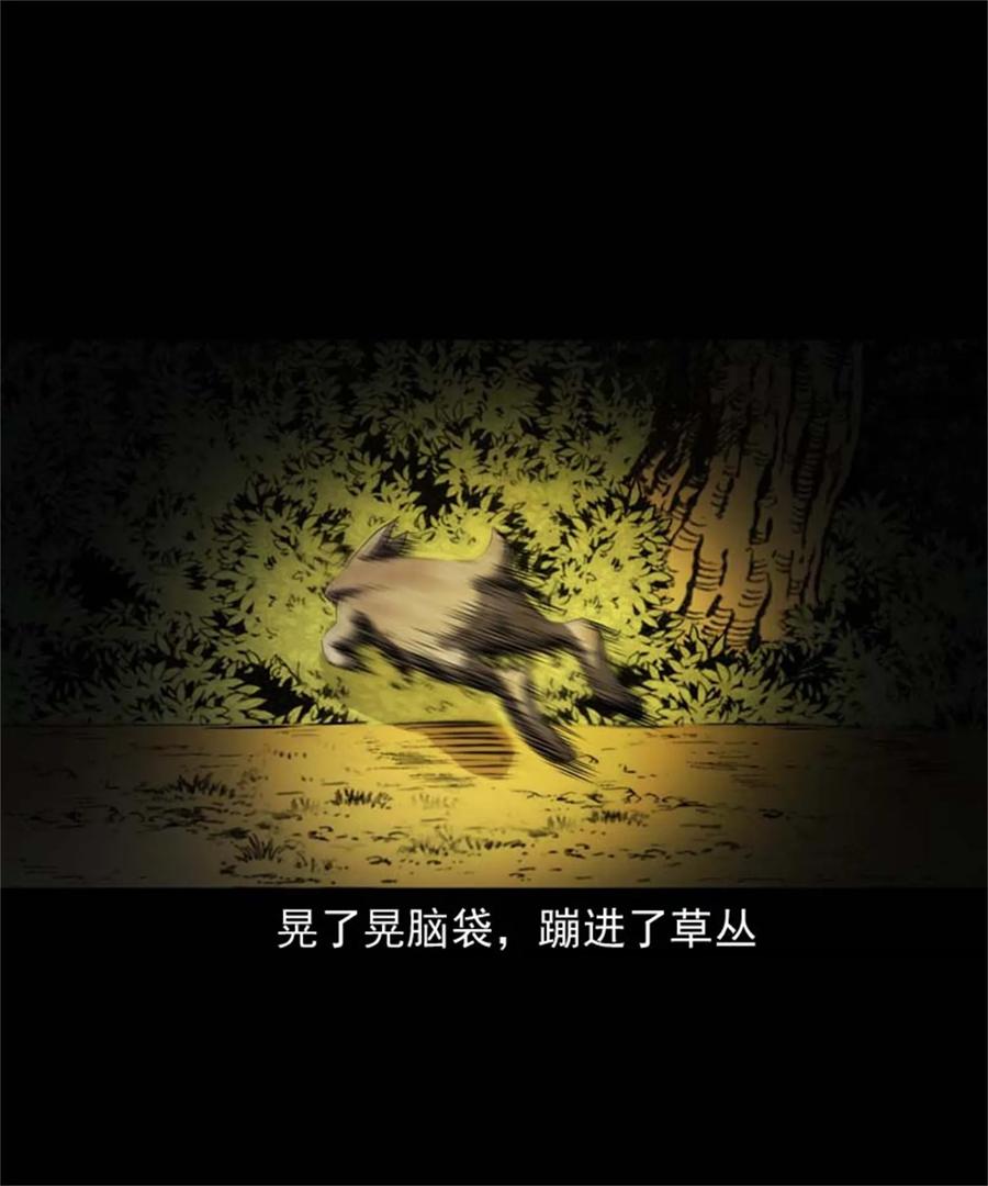 305 夹缝里的宝贝23