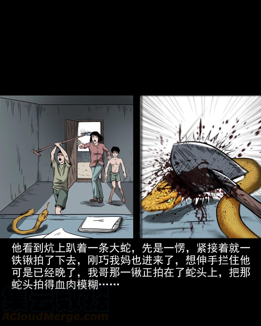 291 蛇祸12