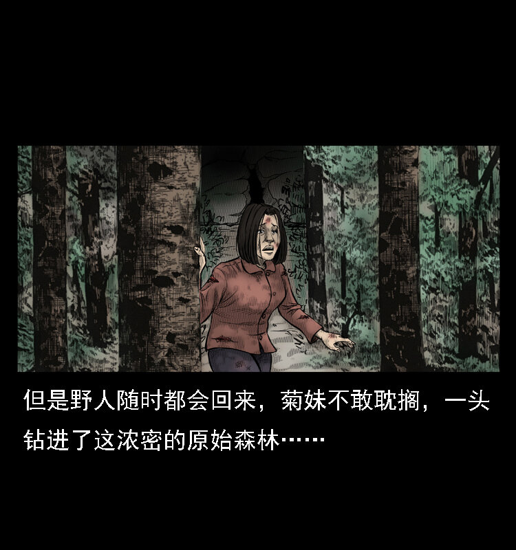 16 神农架野人52