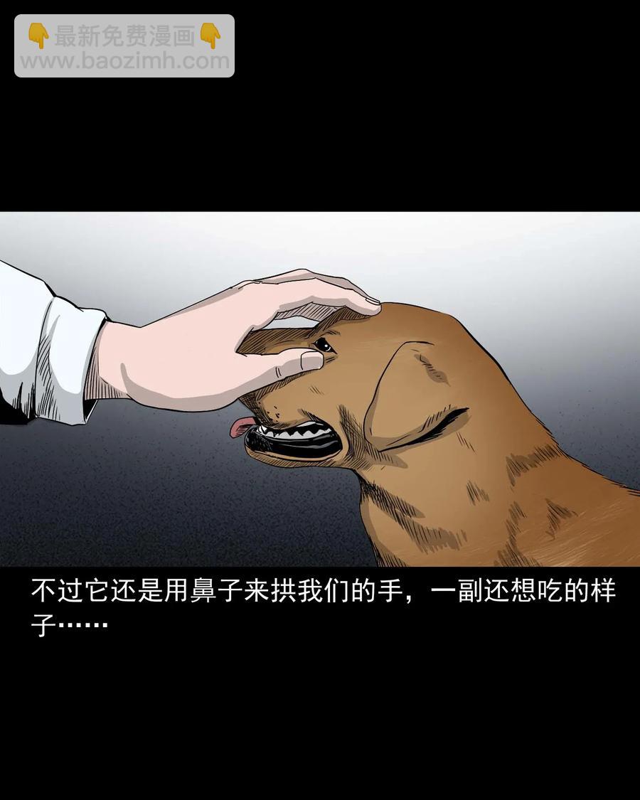 412 找狗人26