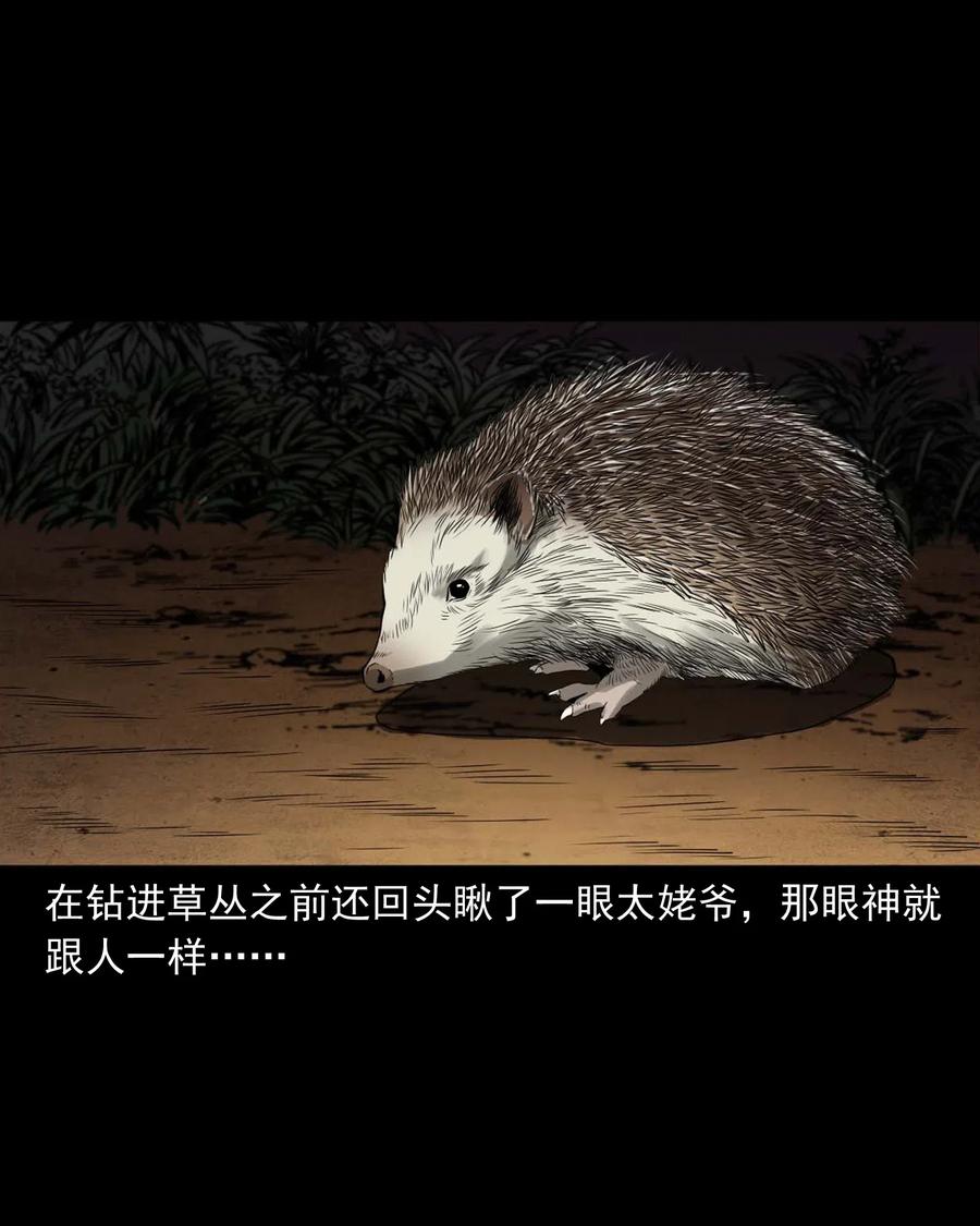 444 白神医21