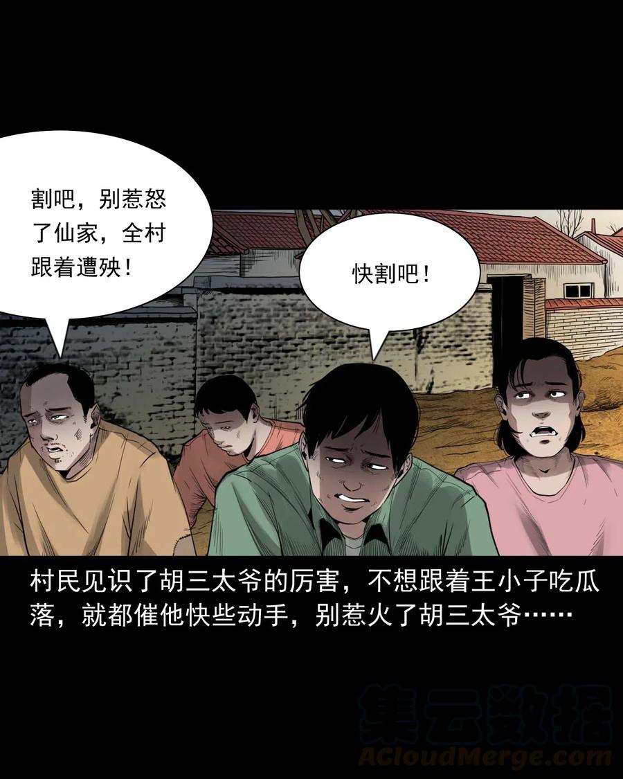 456 胡三太爷传说60