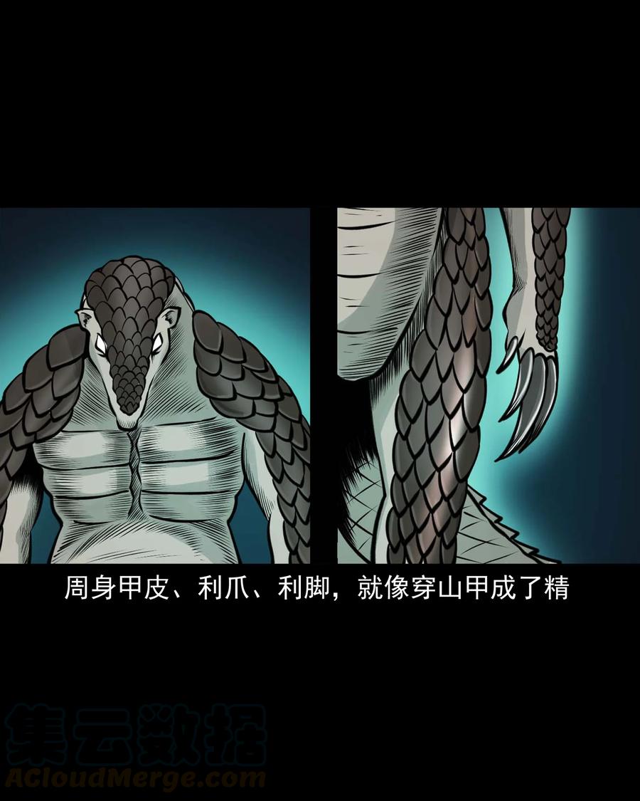 510 老烟鬼9163
