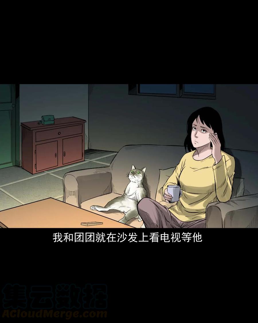 511 猫看见了什么9