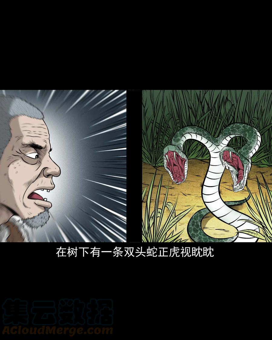 528 老烟鬼10112
