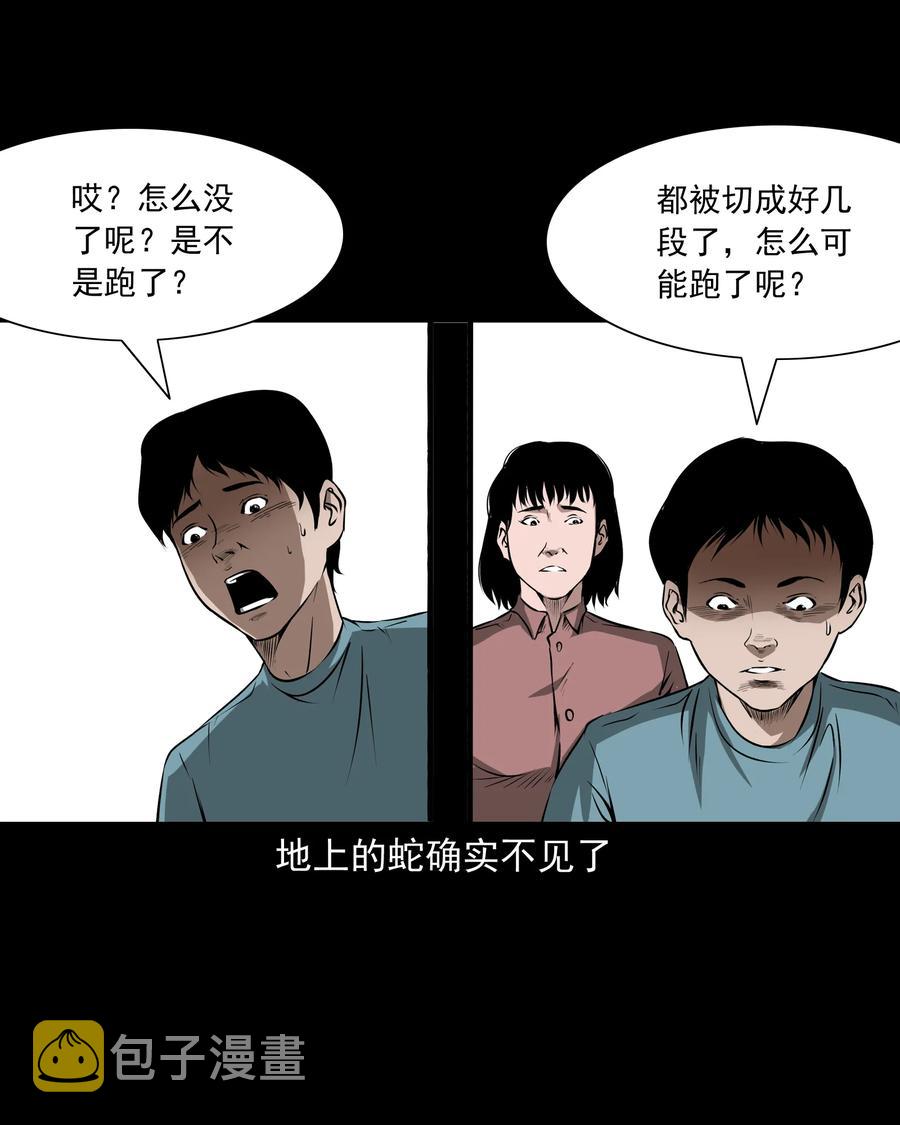 291 蛇祸26