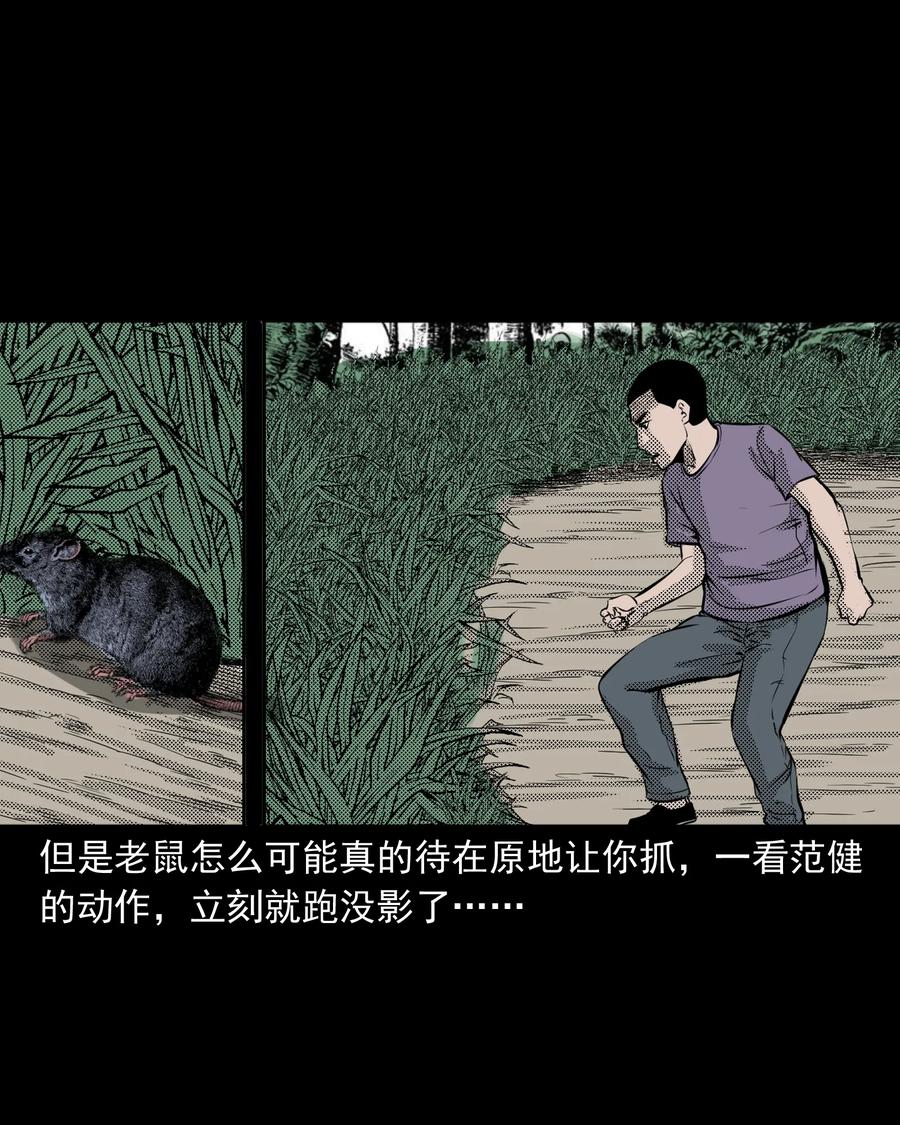 282 老鼠成仙13