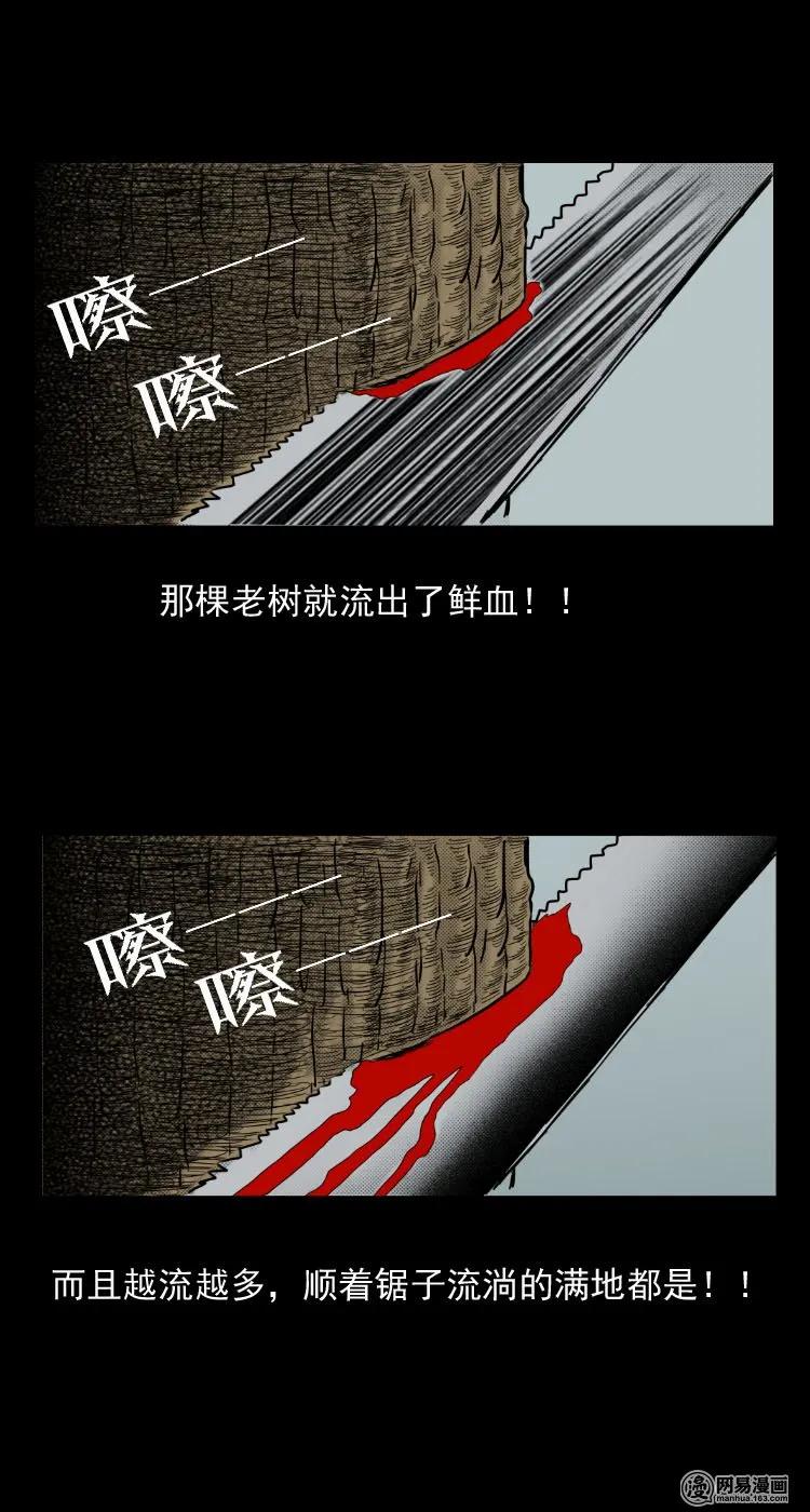 29 古树14