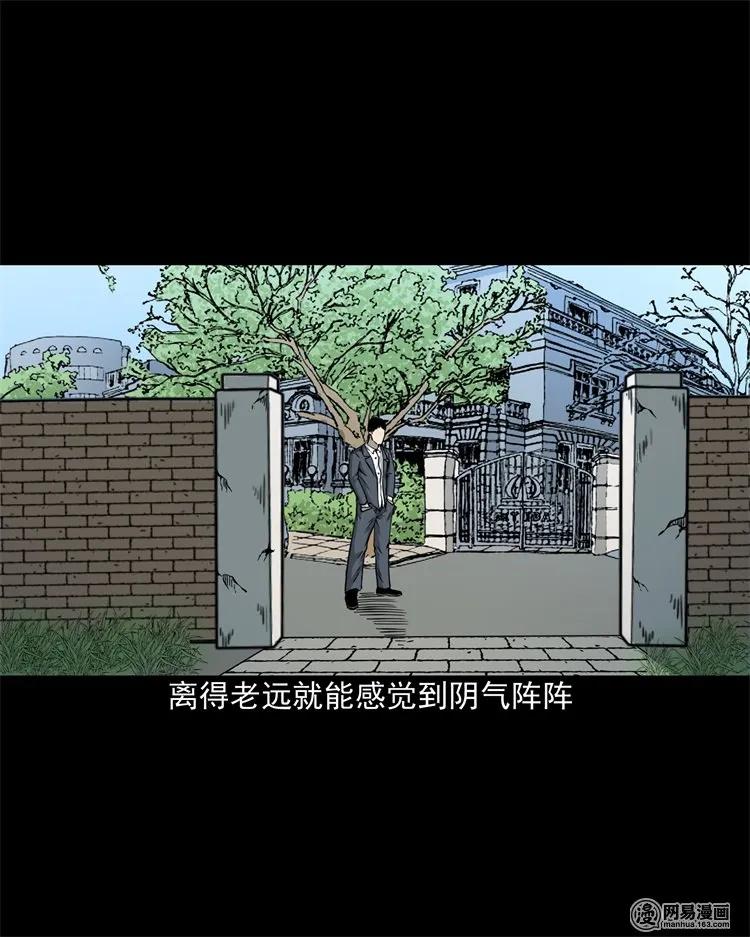 205 古曼童55