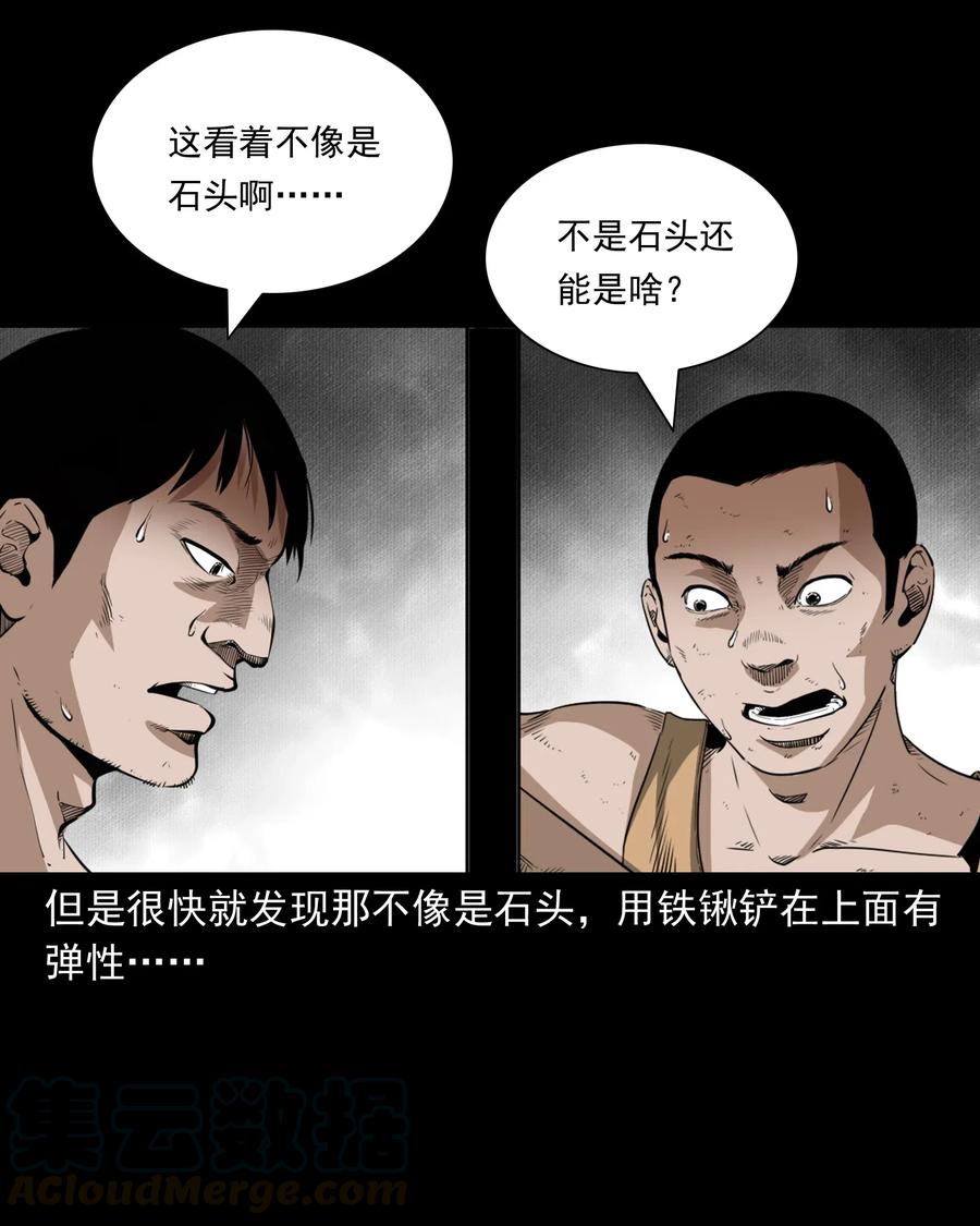 493 大王八6