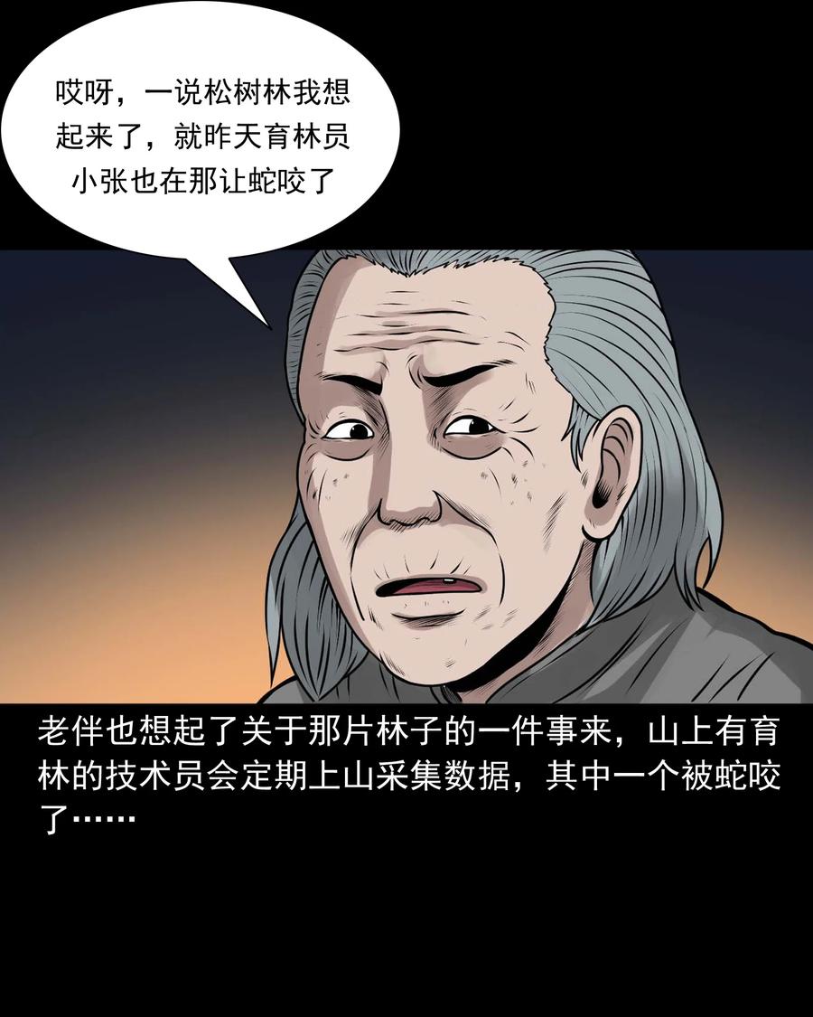 527 老烟鬼10062