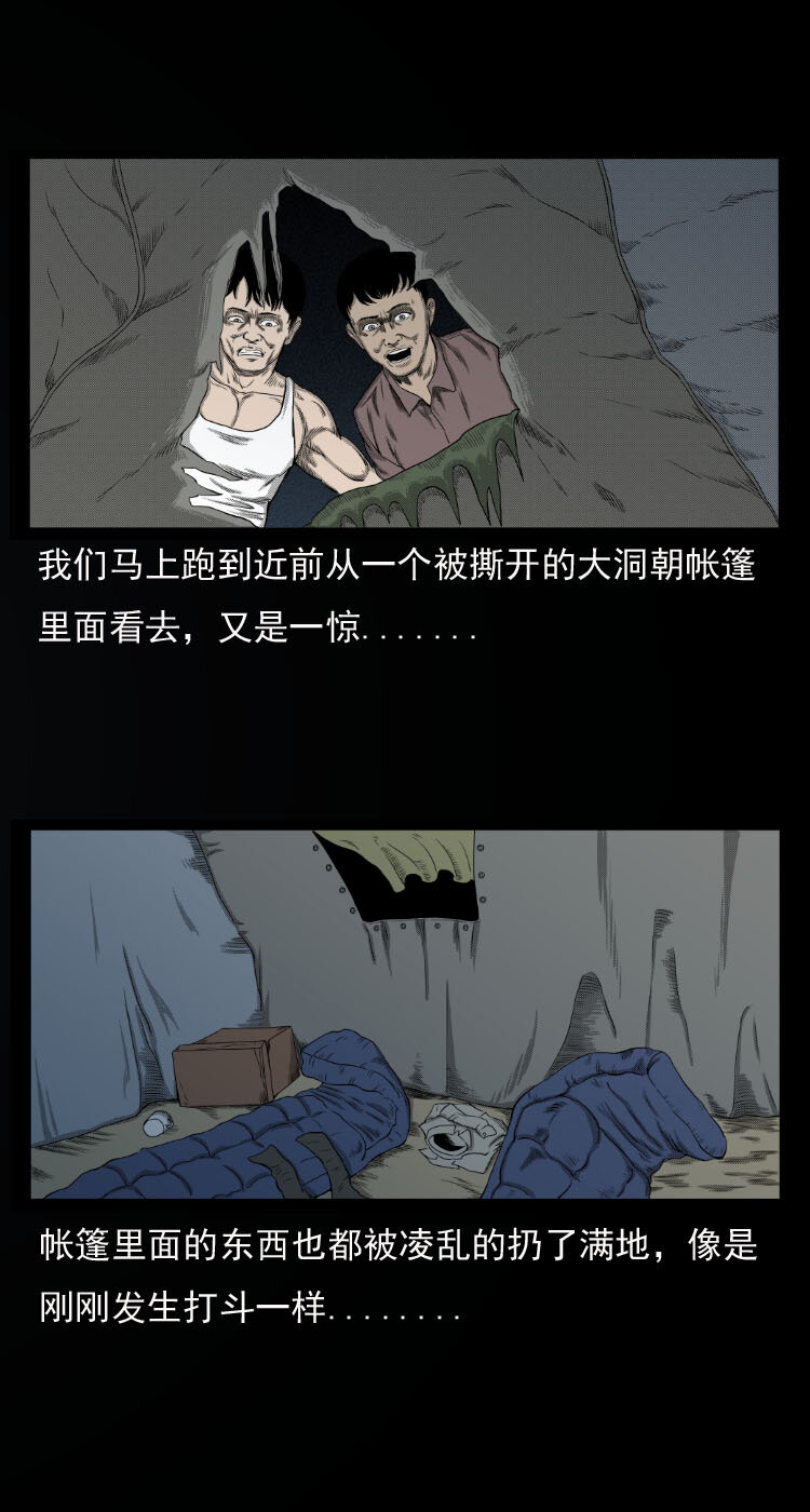 10 青藏铁路怪物事件6