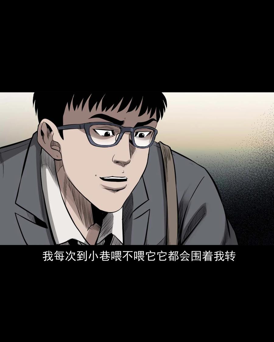 539 犬灵9