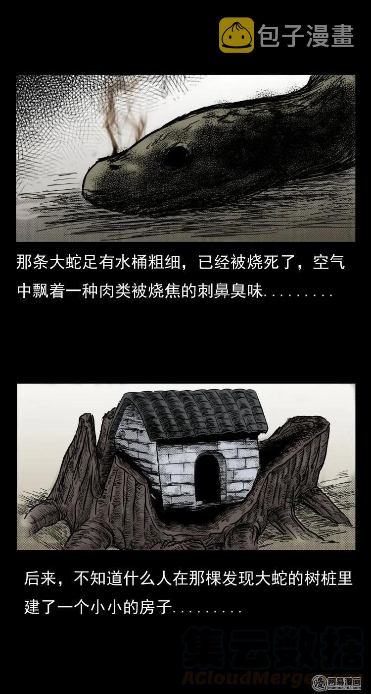 29 古树27