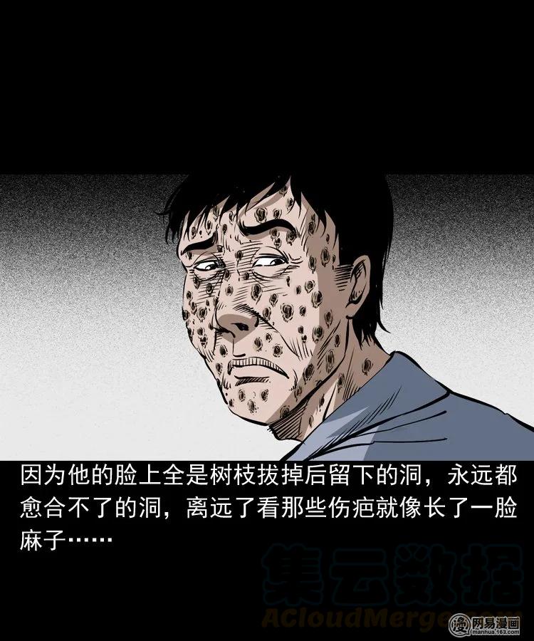 168 刺猬56