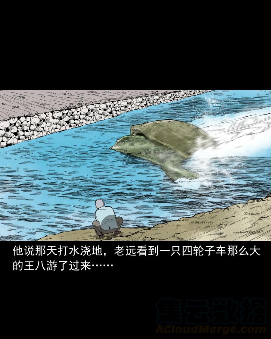493 大王八42