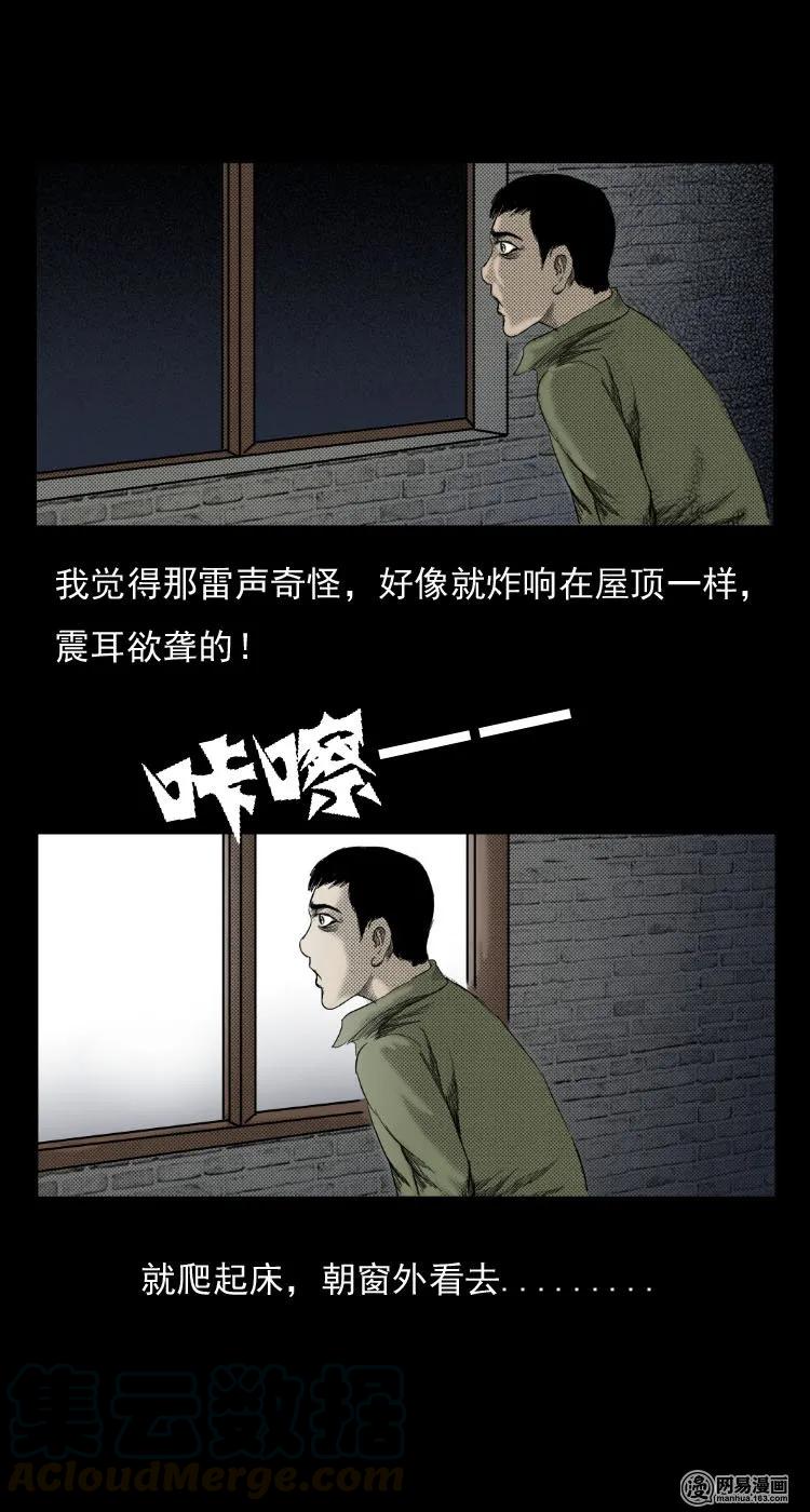 29 古树21