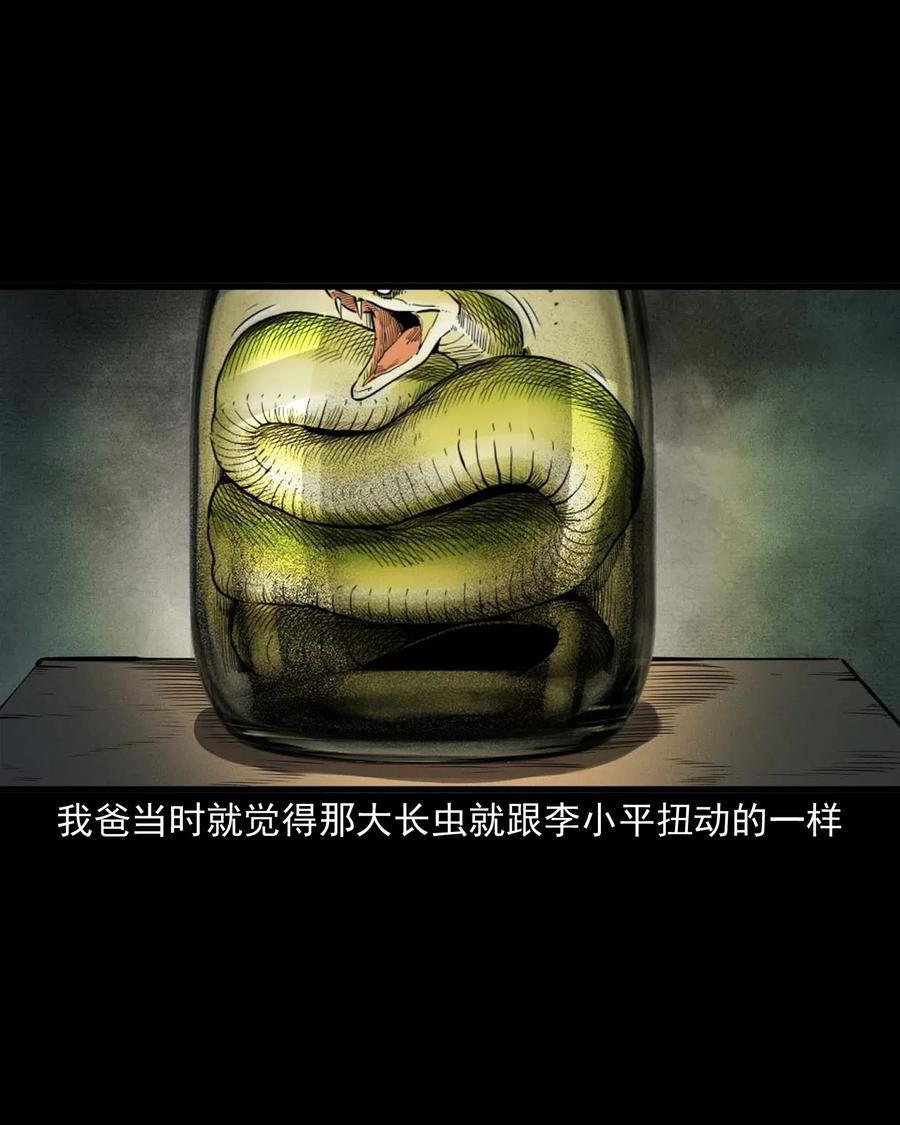 495 药酒32
