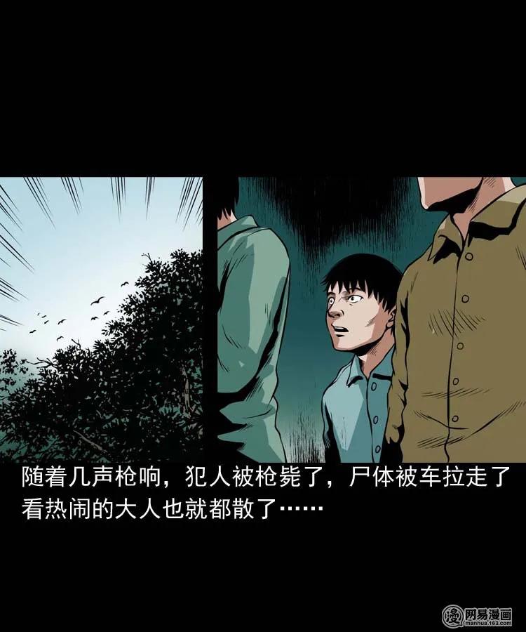178 发夹11