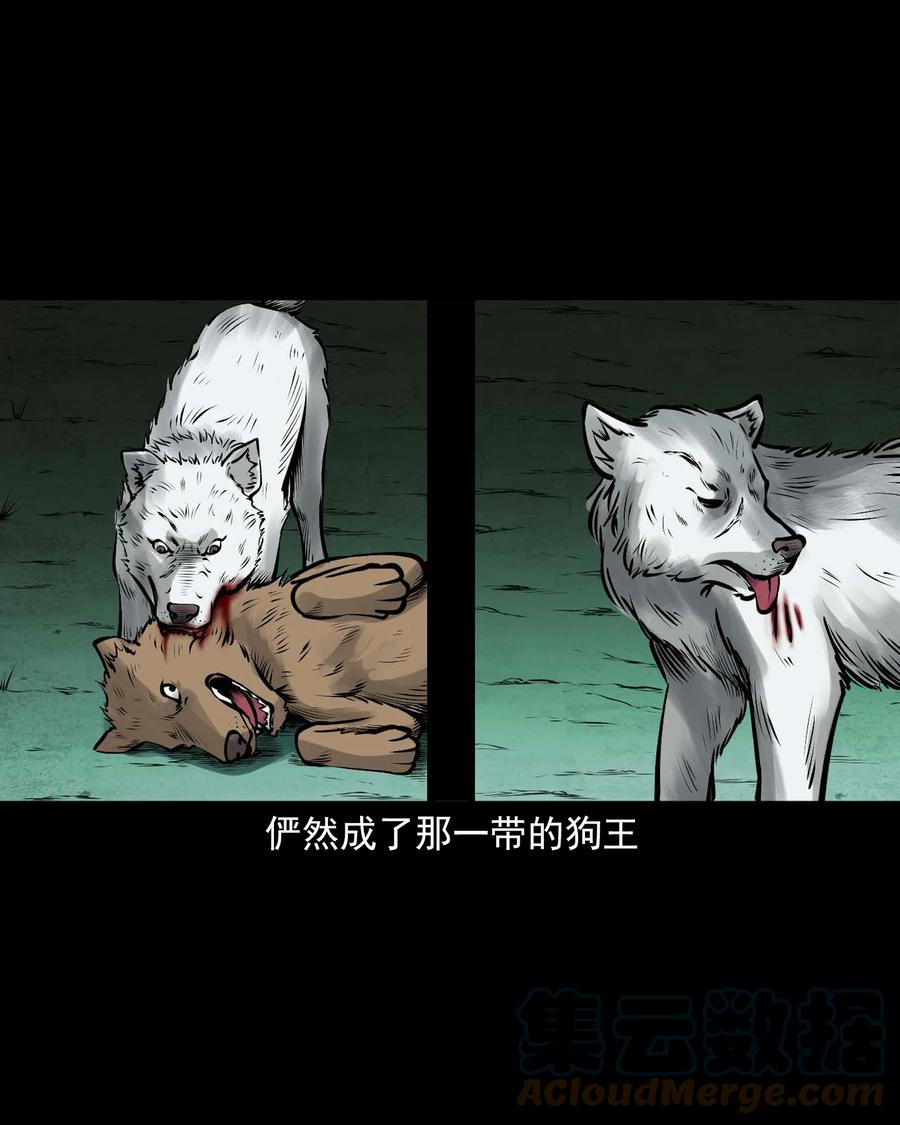 532 老烟鬼10318
