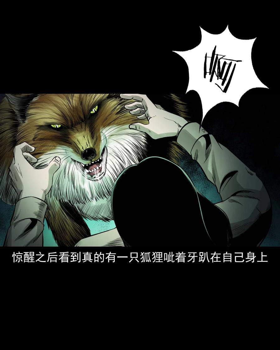 545 狐狸围脖41