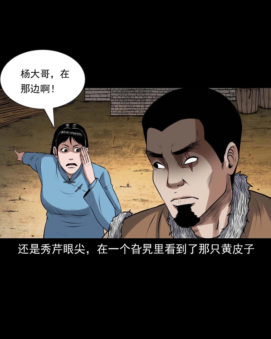 429 老烟鬼5315