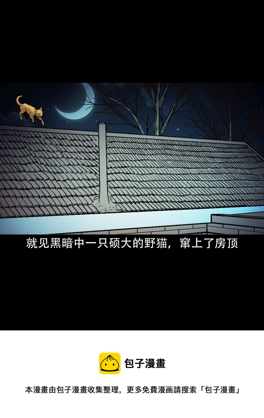 646 老烟鬼163话49