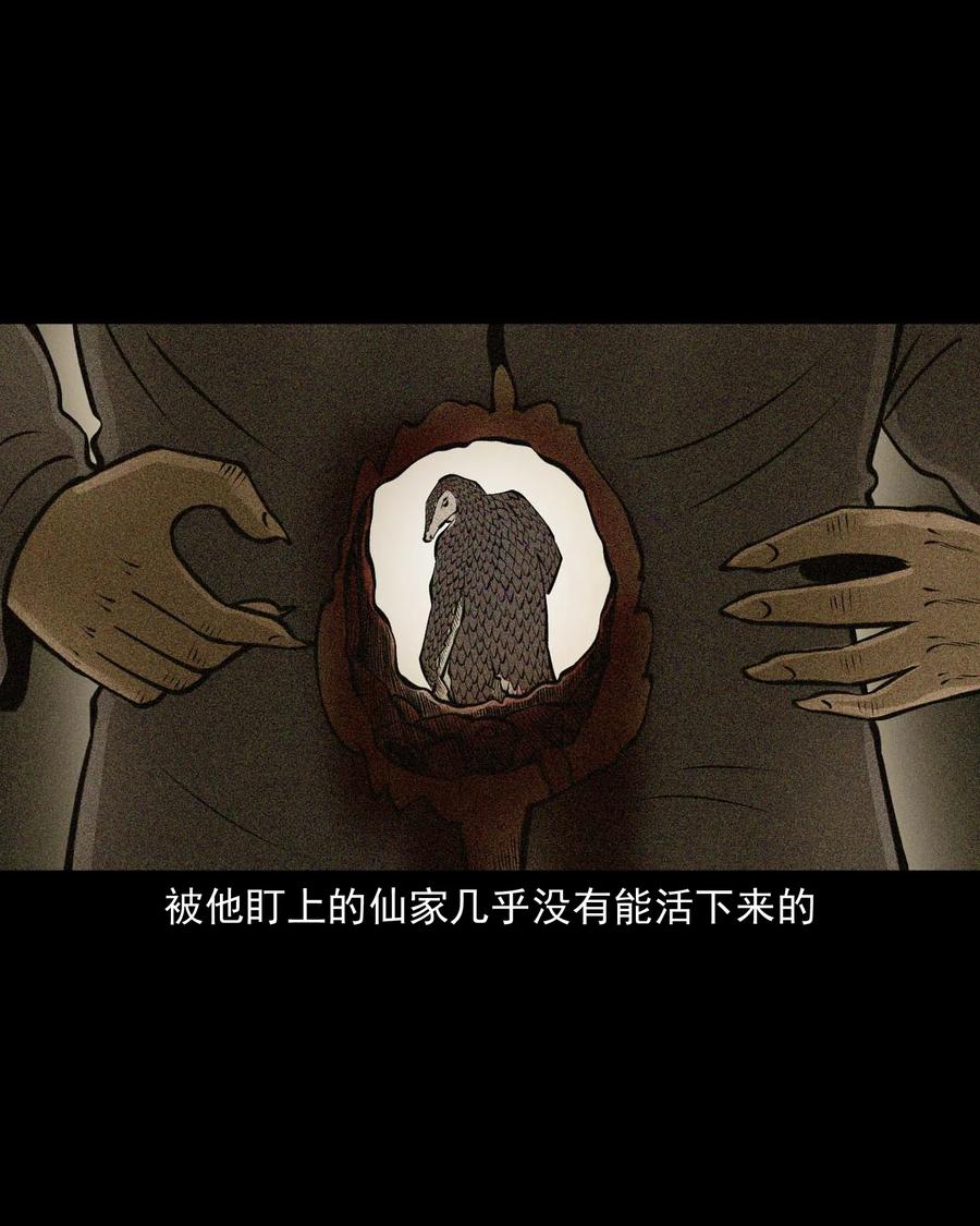 510 老烟鬼9174