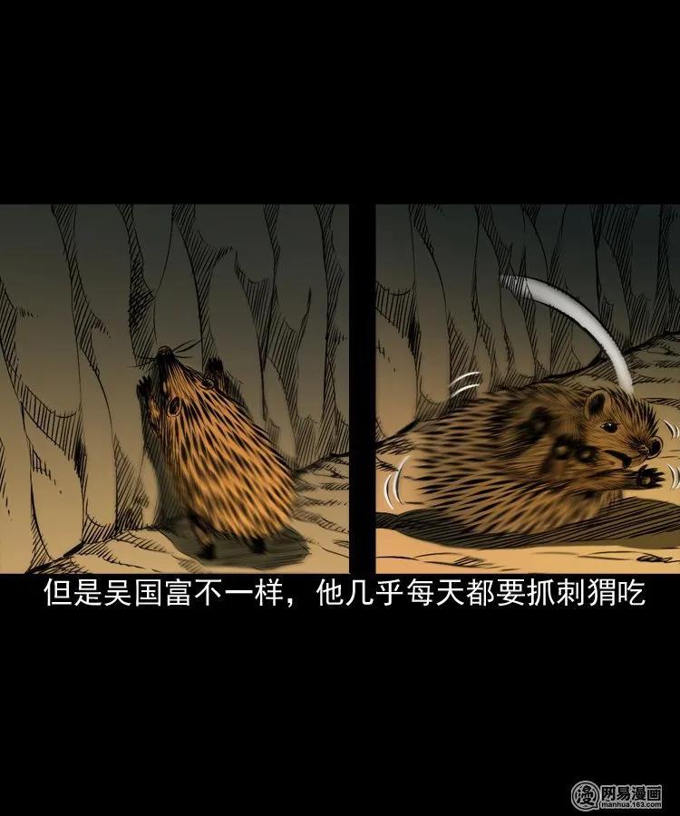 168 刺猬9