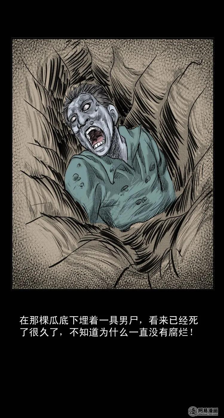 25 人头瓜17