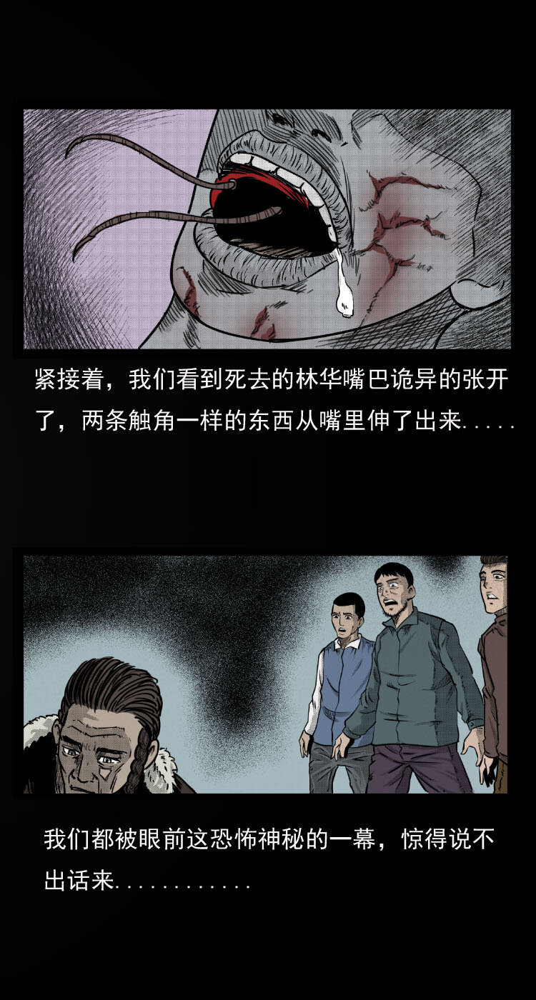 7 雪山尸虫27