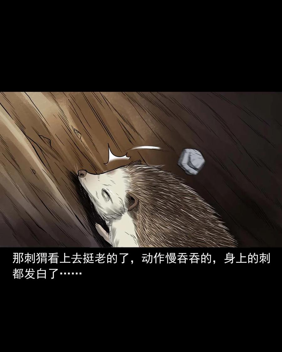 444 白神医15