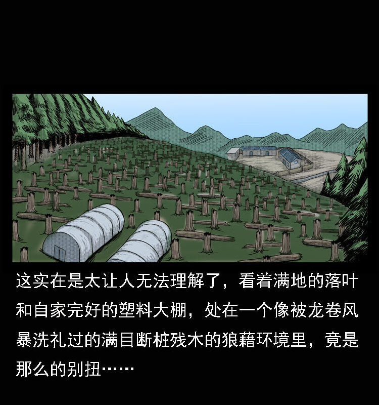 15 空中怪车事件60